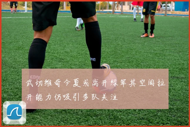 武切维奇今夏或离开绿军其空间拉开能力仍吸引多队关注